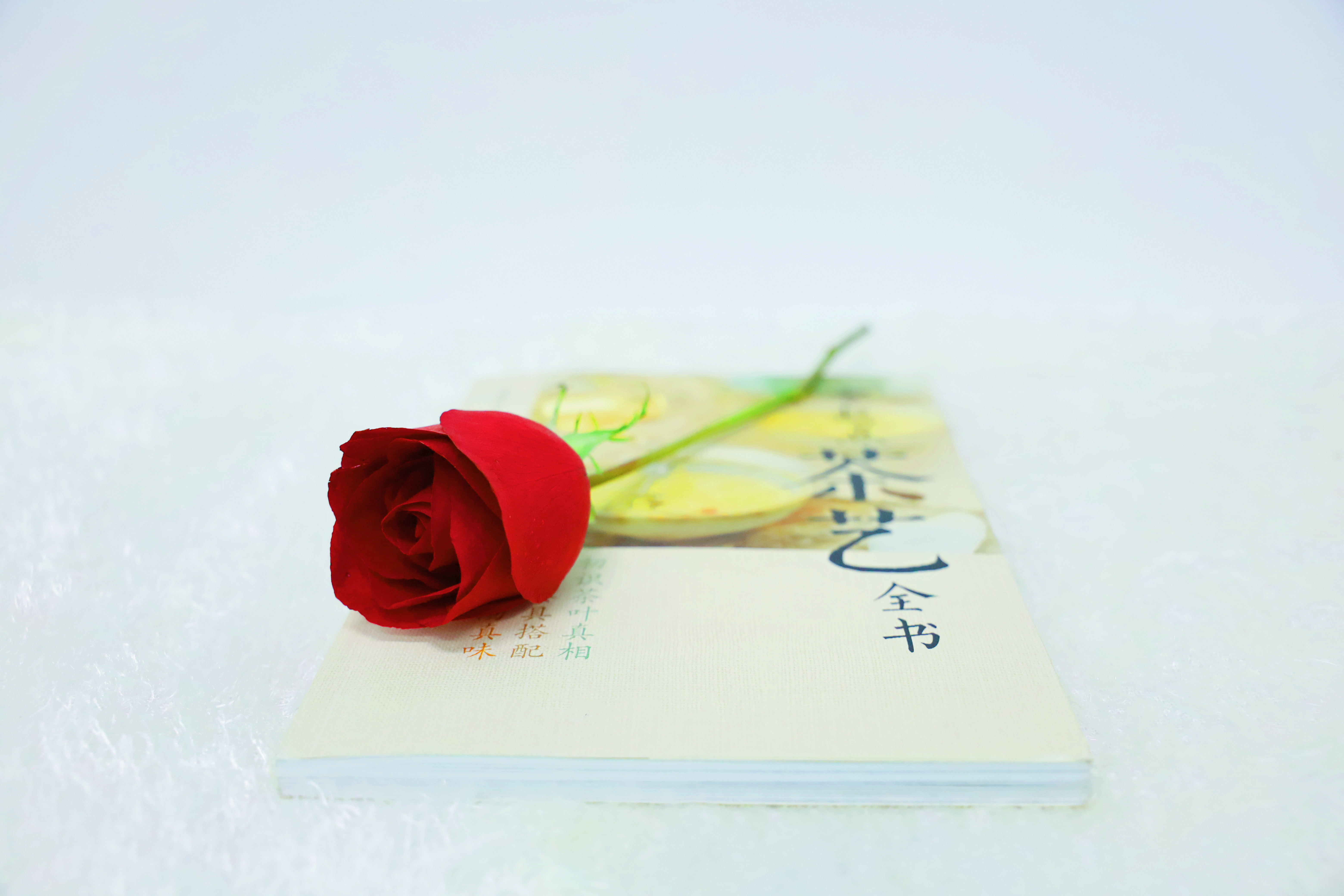 IMG_8686_副本.jpg